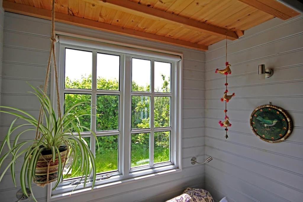 Villa Tiny House On Isolated Farm By The Cornish Coast Bude Exterior foto